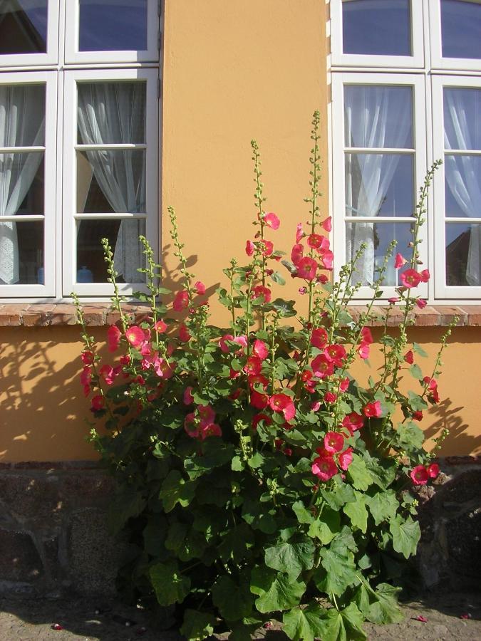 Apartment Am Linden-brink